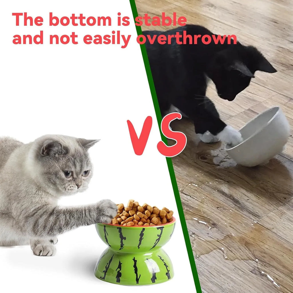 Ceramic raised cat bowl with tilted angle and fruit pattern