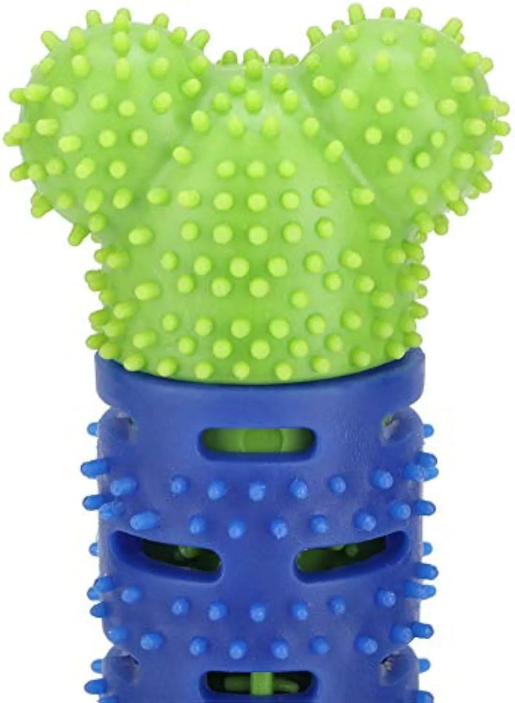 Blue and green dog dental chew toy with brush head texture and massage nodules, 25cm long