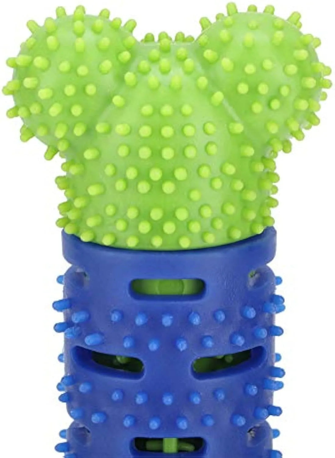 Blue and green dog dental chew toy with brush head texture and massage nodules, 25cm long