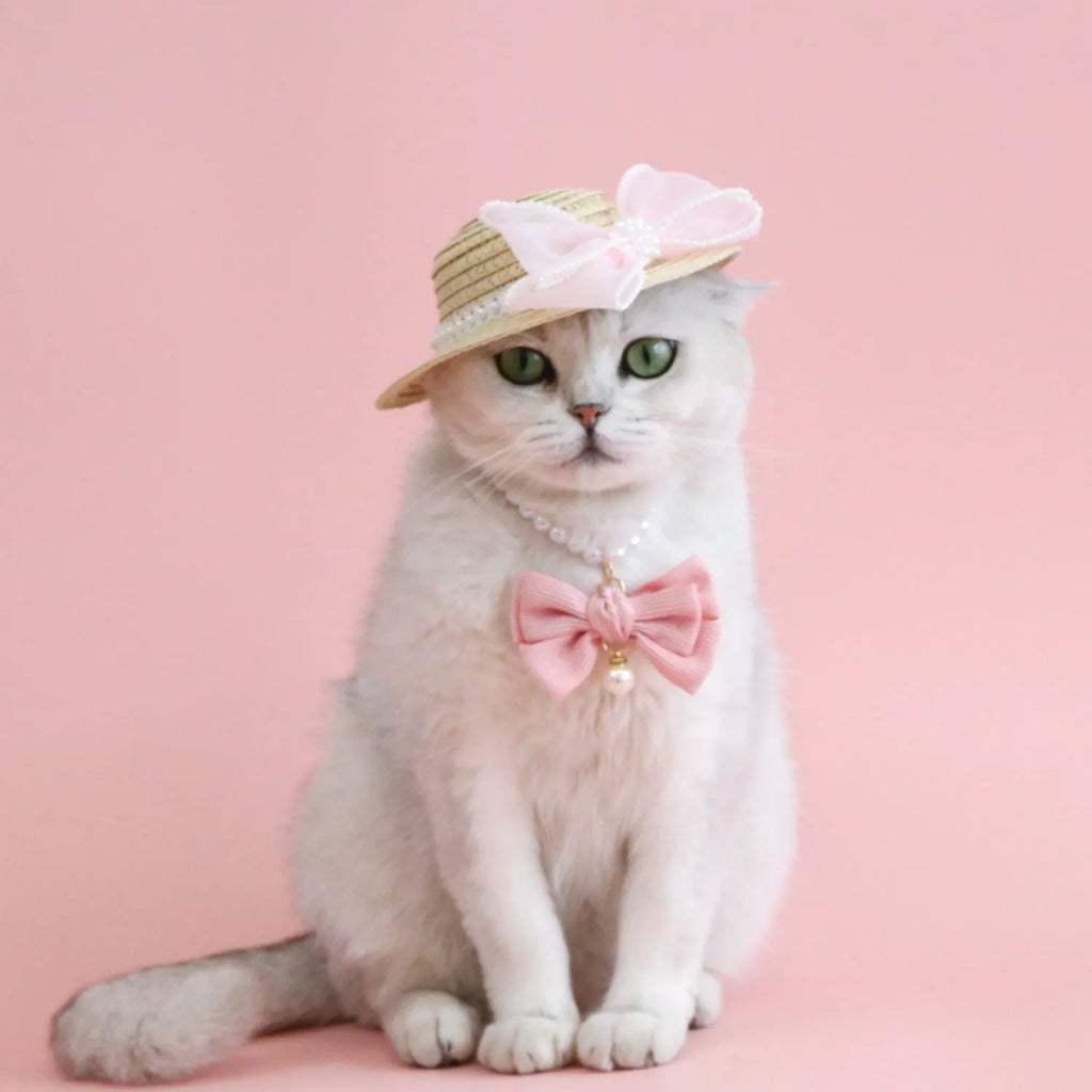Princess-style cat hat with decorative pearl butterfly bow, woven from Lafite leaves.