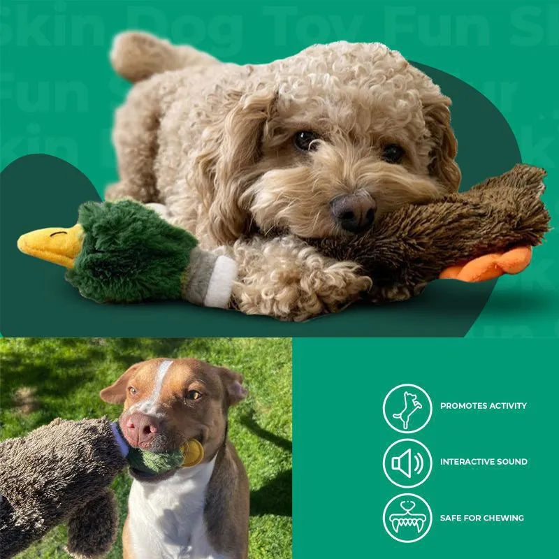 Green wild duck design stuffless dog toy with squeakers in head and tail sections