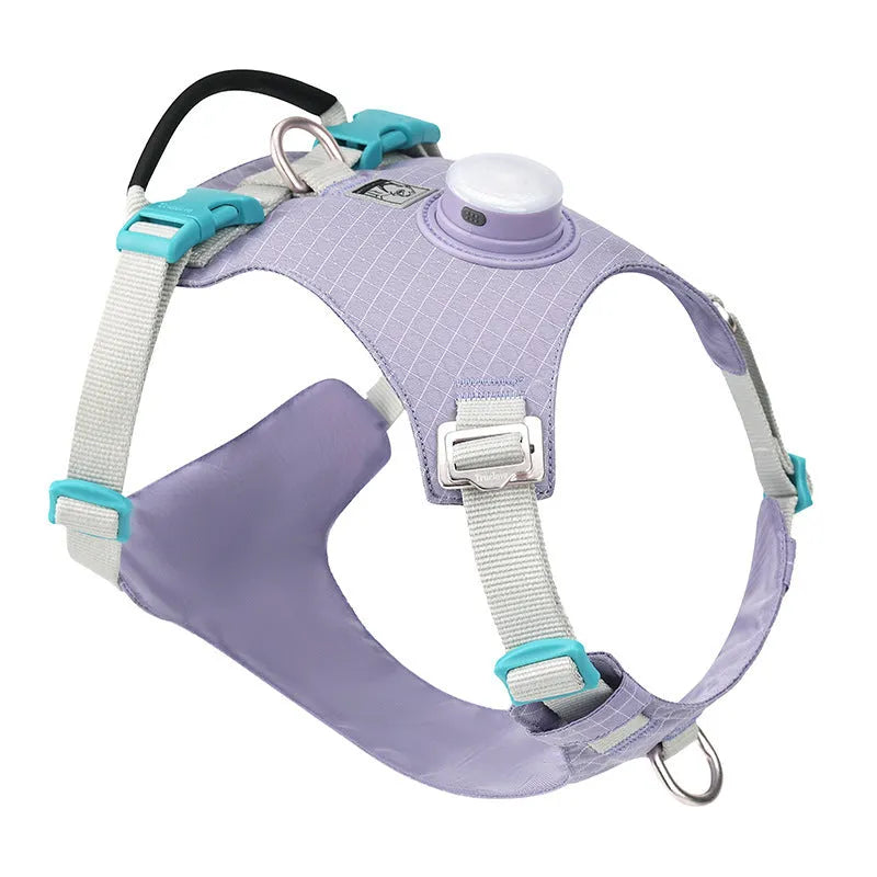 Light purple dog chest harness with integrated LED light, showing adjustable nylon straps and buckle.