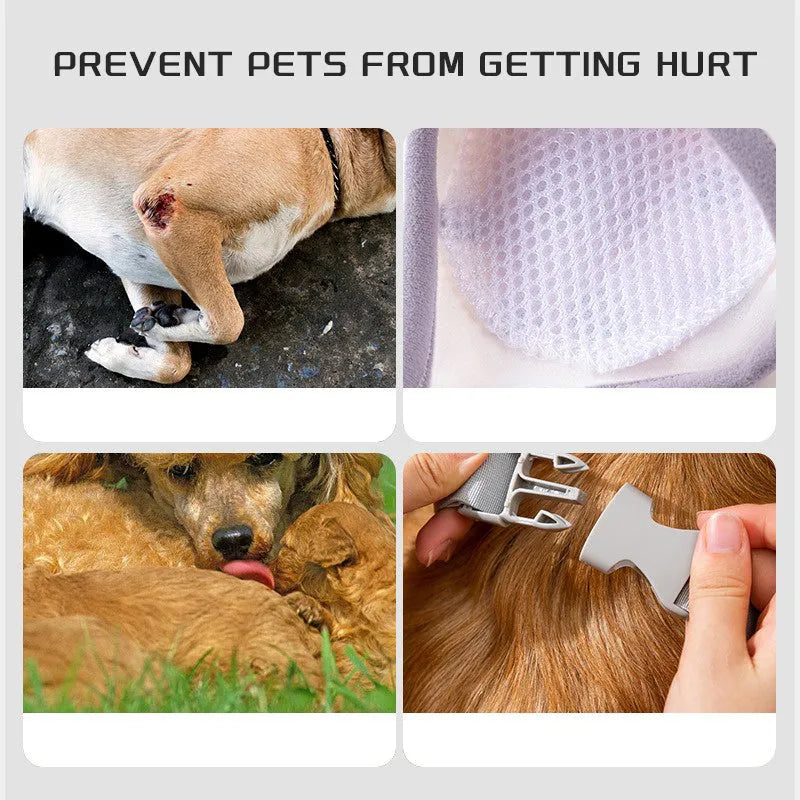 Blue dog elbow support wrap with extra padding and matching scarf on medium-sized dog