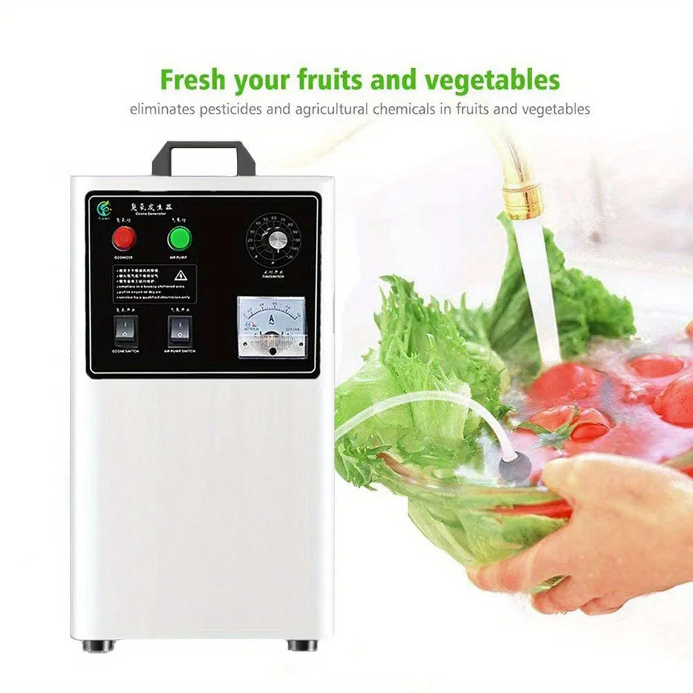 Fruit and vegetable ozone generator machine with 20g/h output in stainless steel or white housing options