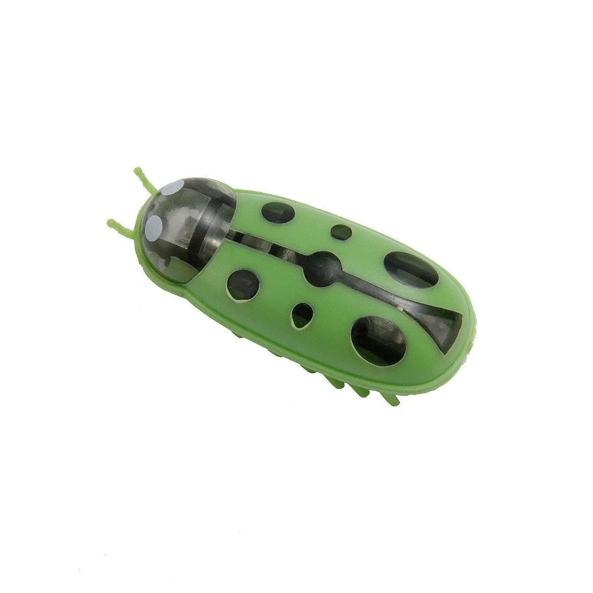Small red ladybird shaped electric bug toy for cats on a wooden floor.