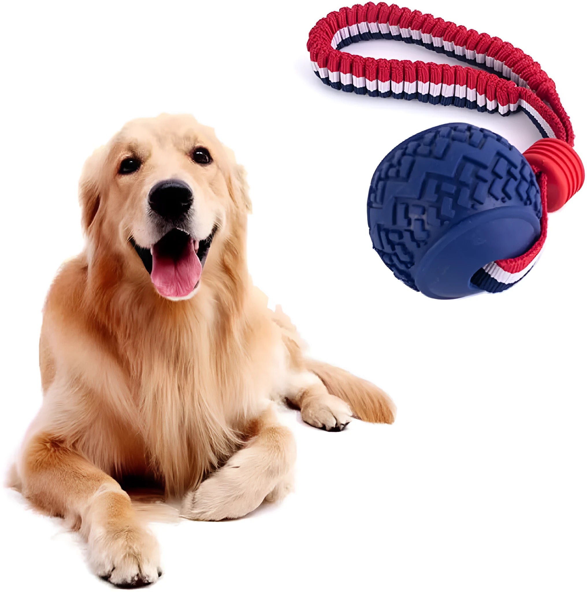 Blue dog ball with rope toy showing 29cm length and textured 6.5cm rubber ball