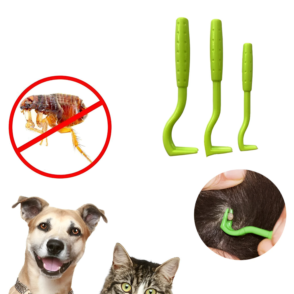 Three plastic pet tick removal hooks in blue or green colours