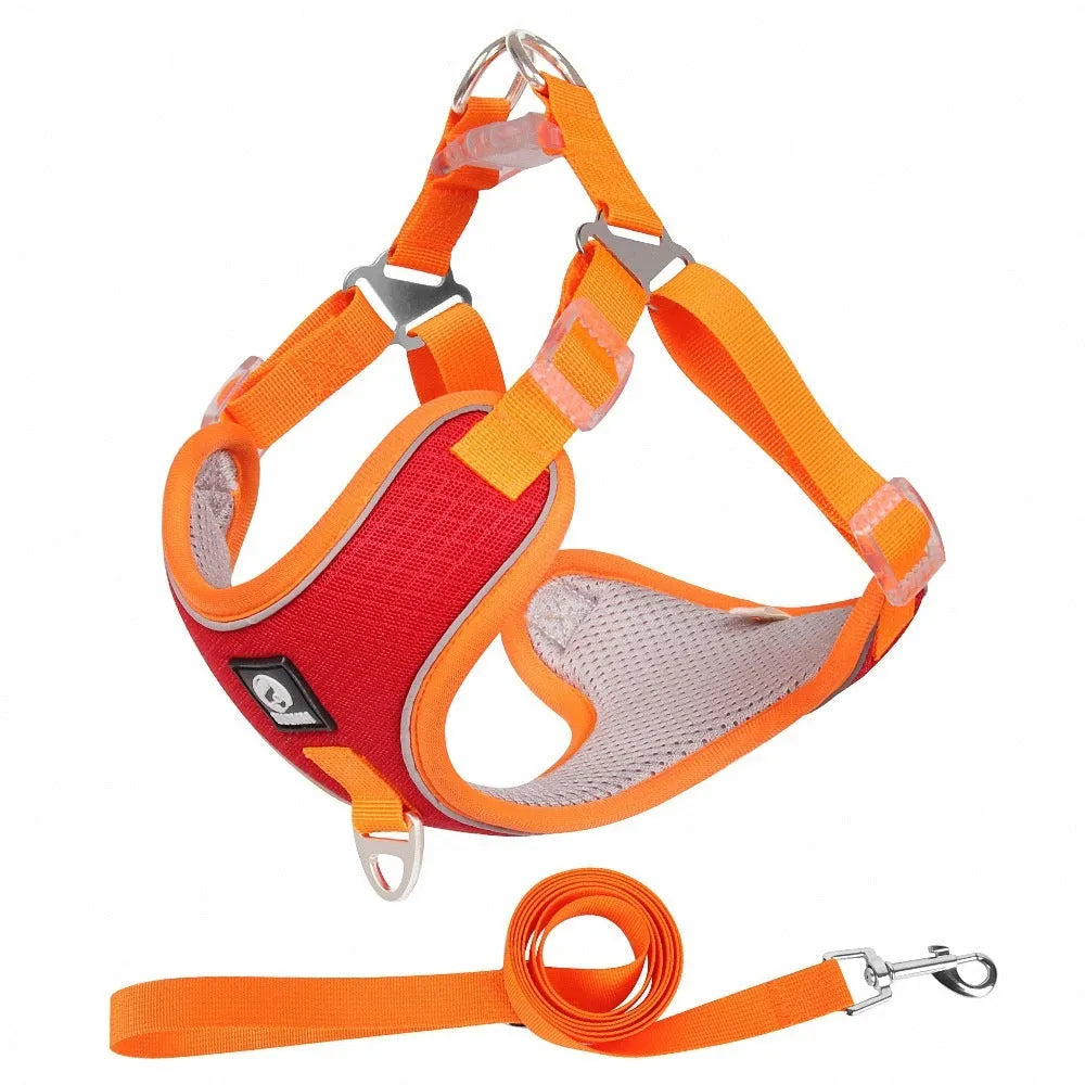 Adjustable dog harness with reflective piping in black, red, gray or light purple colours