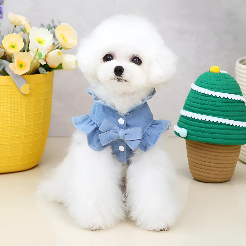 Blue denim dog dress with ruffles and integrated leash hooks on the chest and back.