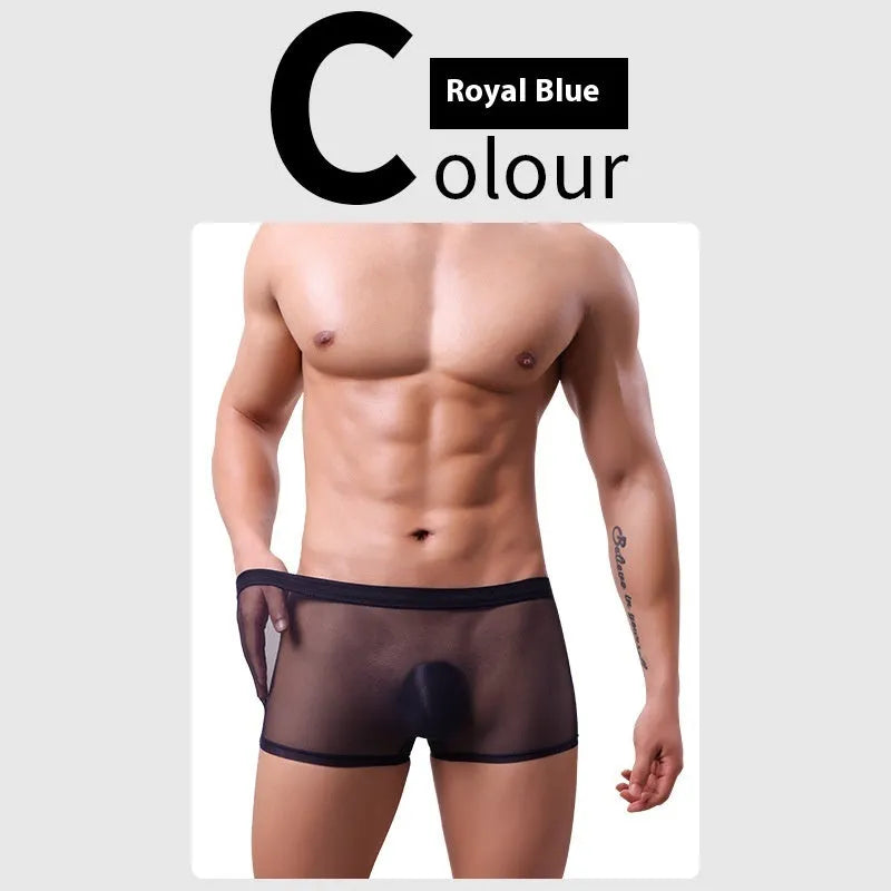Men's mesh boxer briefs in thin sheer polyester fabric showing low waist design and breathable construction
