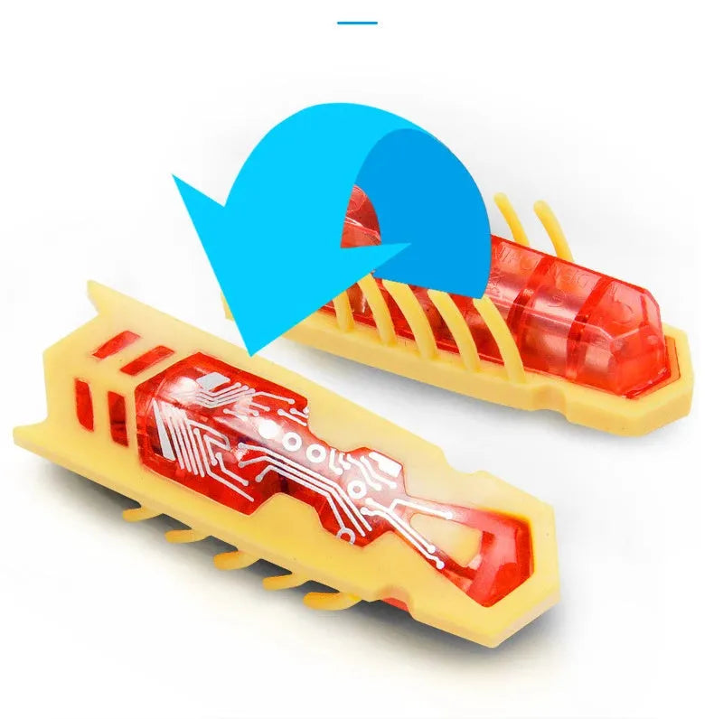 Small red ladybird shaped electric bug toy for cats on a wooden floor.