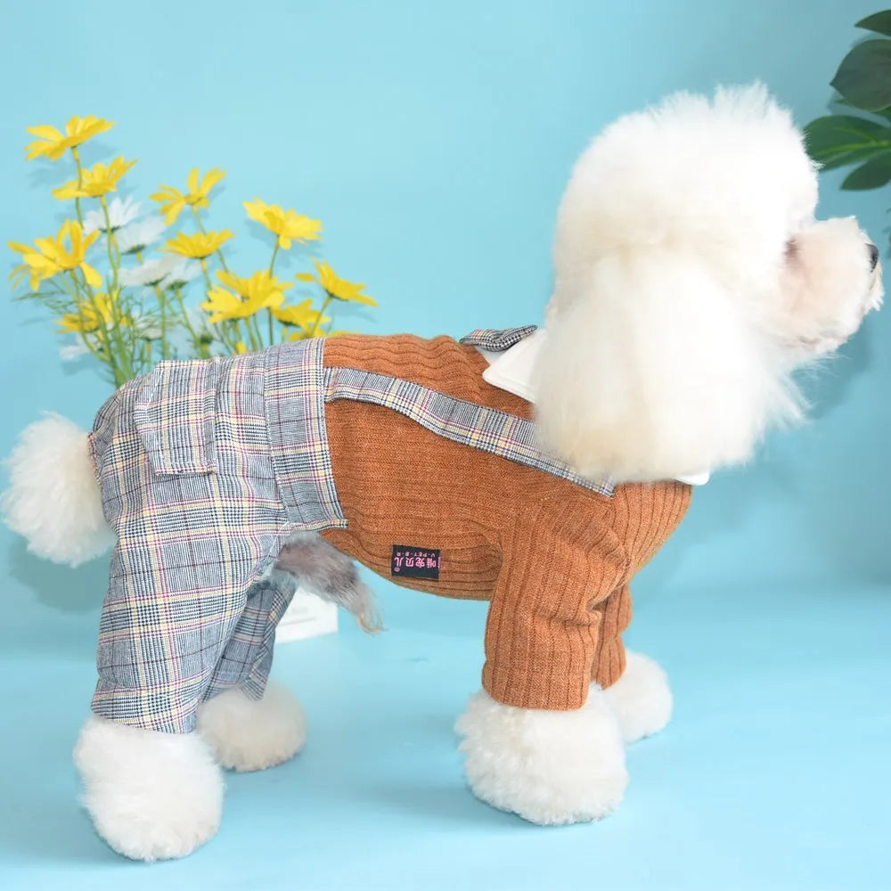 Cotton dog suit shirt for small dogs in orange and dark blue colours with size options
