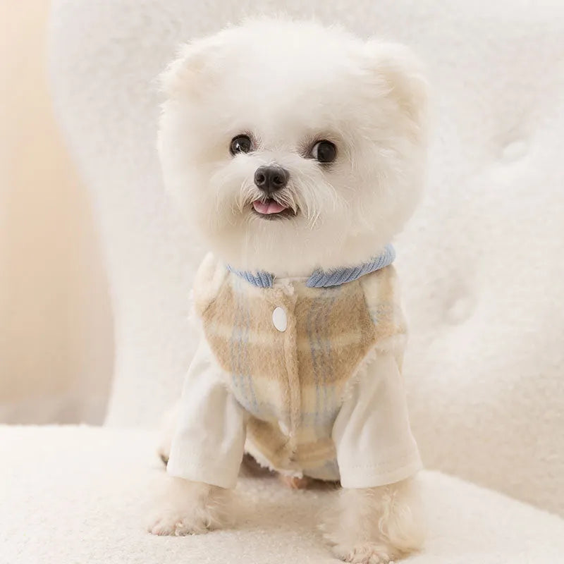 Blue corduroy dog vest with chessboard grid pattern and hooded design for winter walks