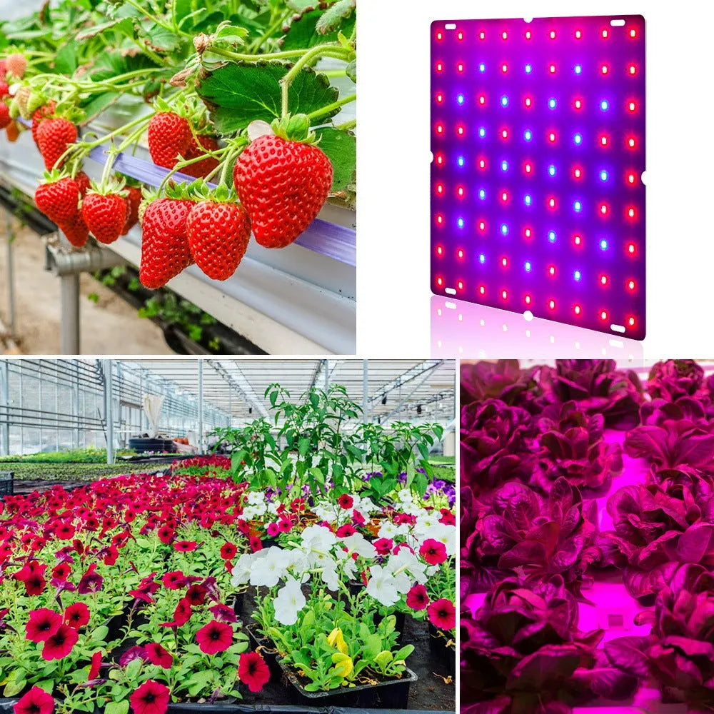 D-section bare board LED plant growing light with hook for indoor fruits and vegetables.
