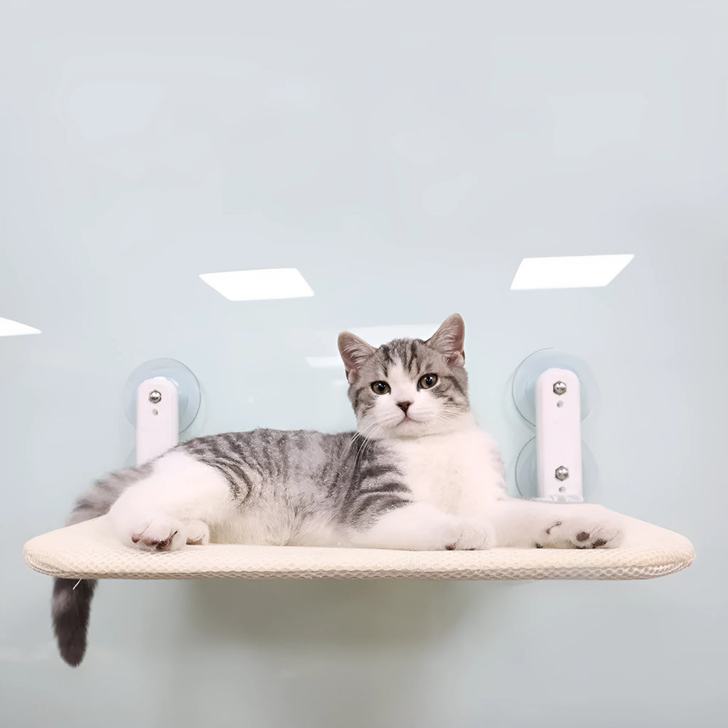 Cat window hammock with stainless steel frame and suction cups mounted on glass