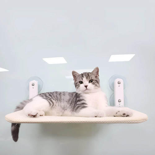 Cat window hammock with stainless steel frame and suction cups mounted on glass