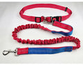 Grey and blue reflective nylon dog leash with elastic sling section for outdoor running.