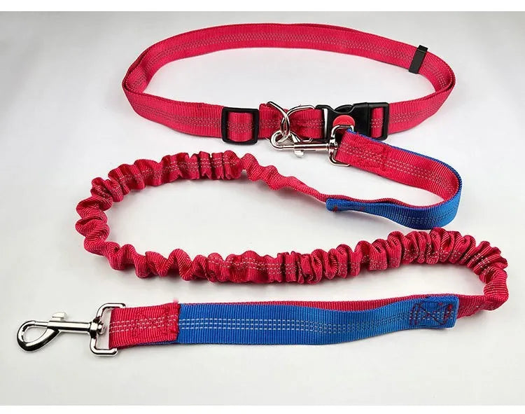 Grey and blue reflective nylon dog leash with elastic sling section for outdoor running.