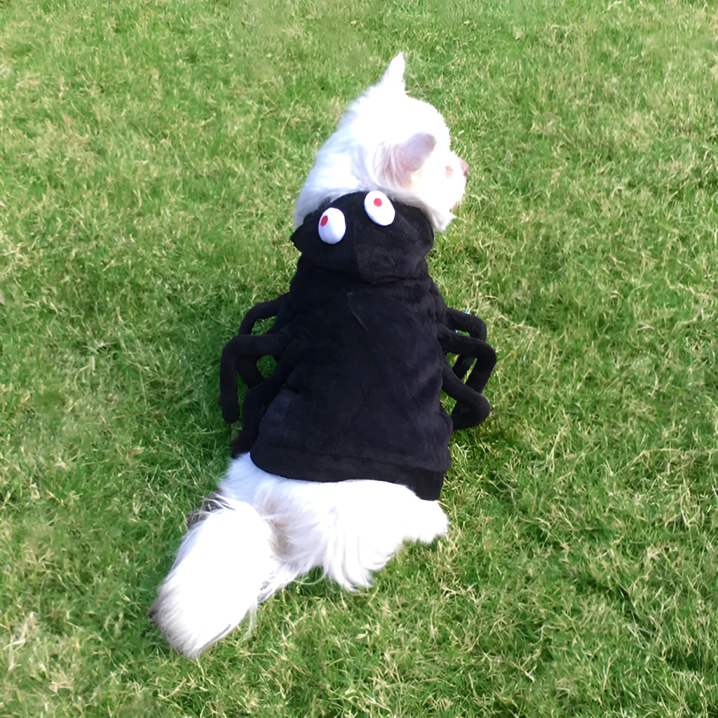 A dog wearing a black costume with a large red and white spider print on its back and sides.