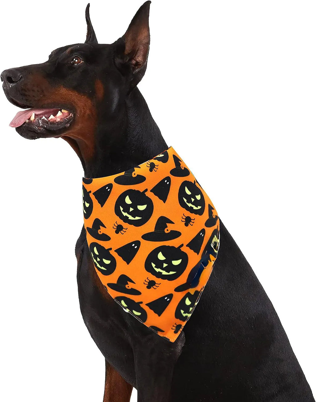 Black and orange reversible Halloween dog bandana with pumpkin and spider web patterns showing adjustable closure