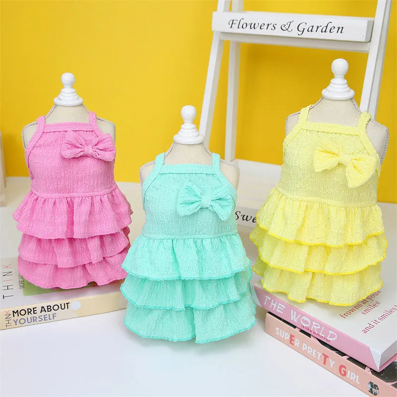 Small dog wearing a layered skirt princess dress in a candy colour.