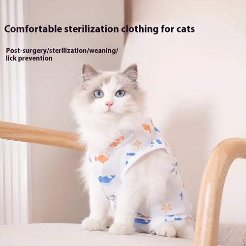 A cat wearing a blue patterned polyester sterilization recovery suit with velcro fastening on the side.