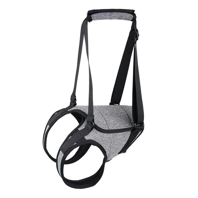 Grey neoprene dog rear leg recovery support belt shown on a size chart.