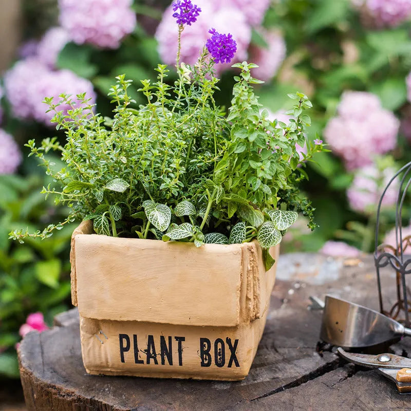 Cement flowerpot with brown paper box design featuring drainage holes