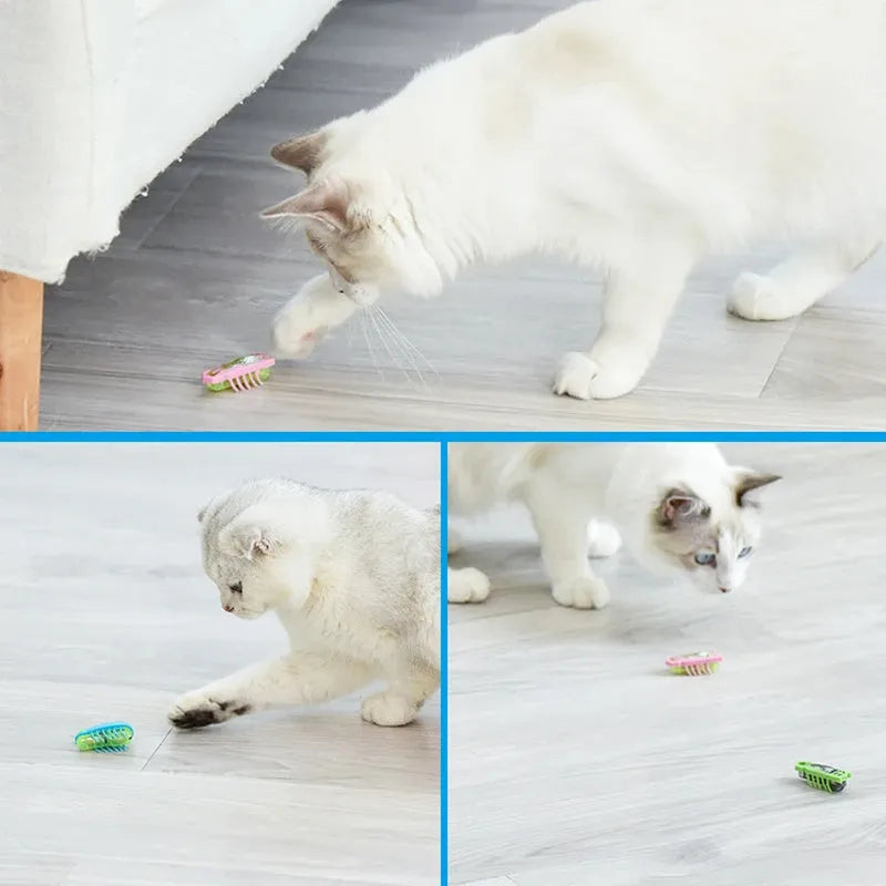 Small red ladybird shaped electric bug toy for cats on a wooden floor.