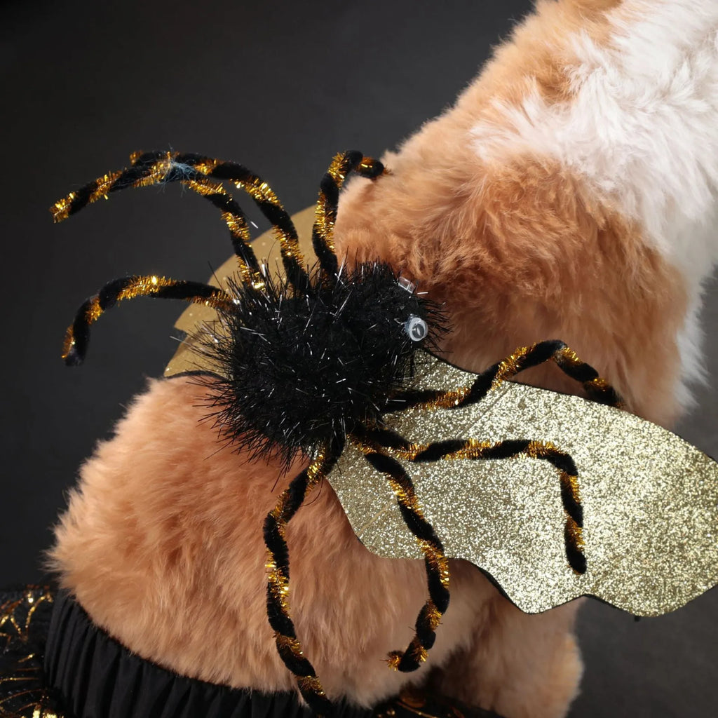 Halloween dog costume suit in colourful polyester material shown on a pet