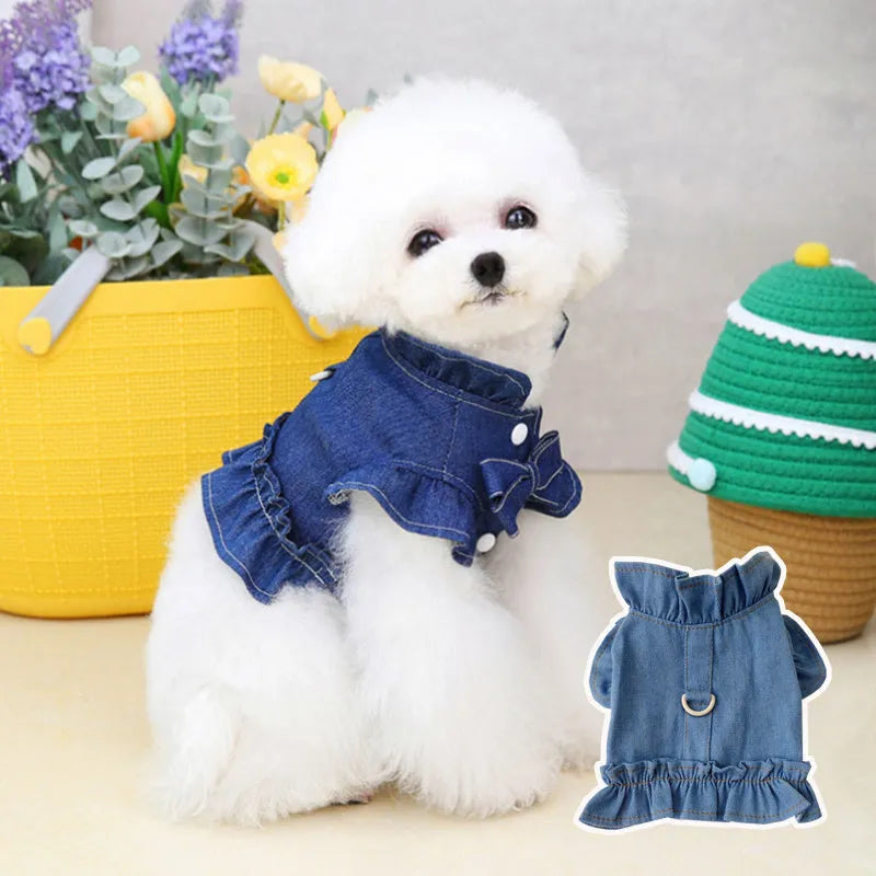 Blue denim dog dress with ruffles and integrated leash hooks on the chest and back.