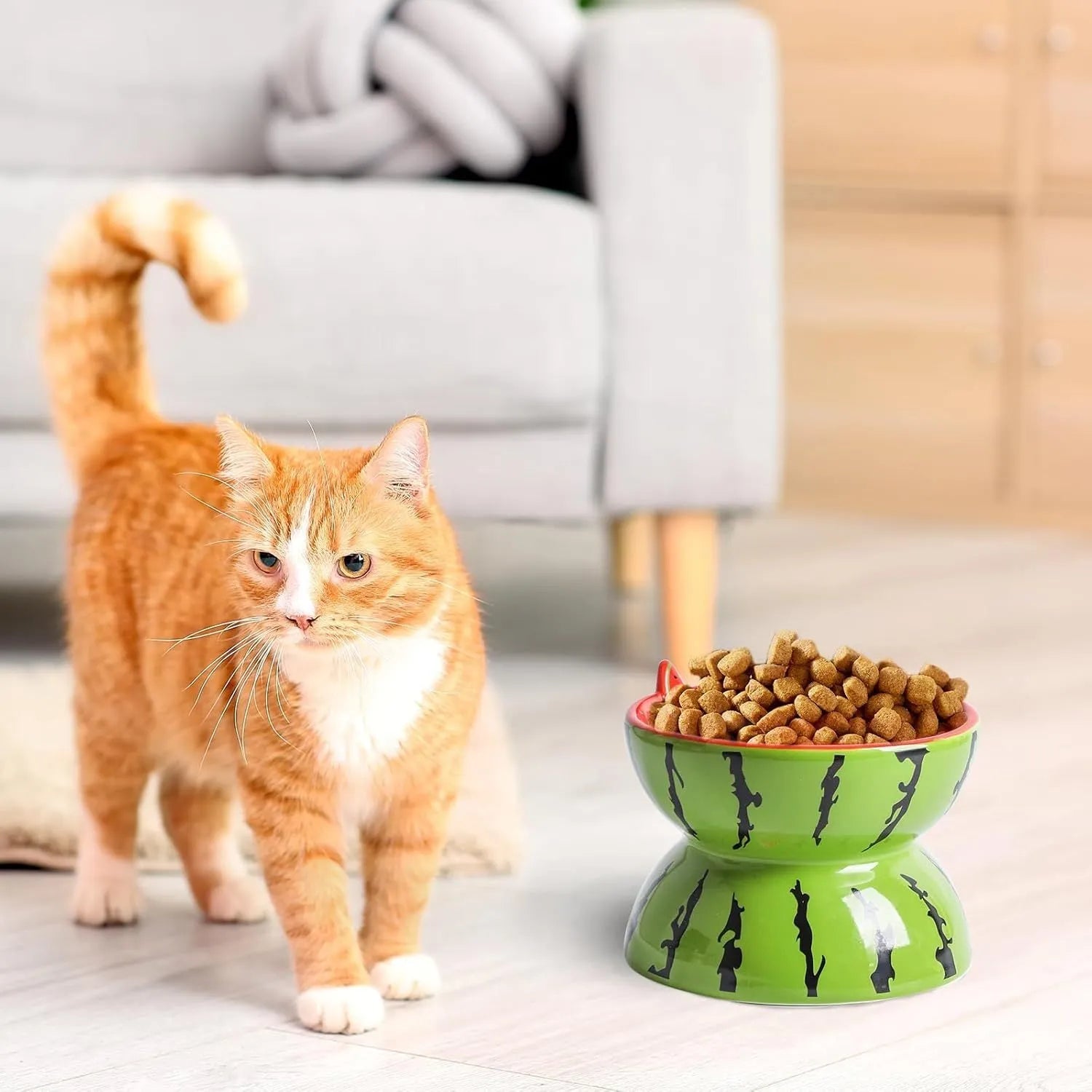 Ceramic raised cat bowl with tilted angle and fruit pattern
