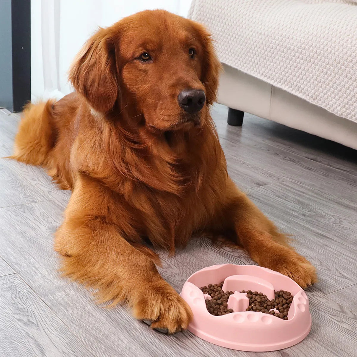 Moon Star Wings pattern slow feeder dog bowl in blue, grey, green, pink, or yellow with non-slip base