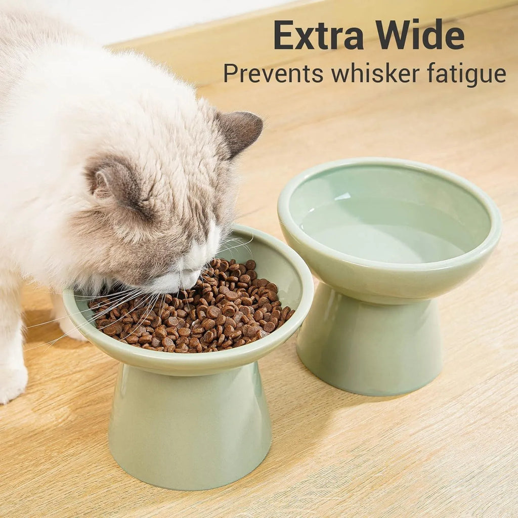 Blue wide ceramic elevated cat food bowl on a white background.