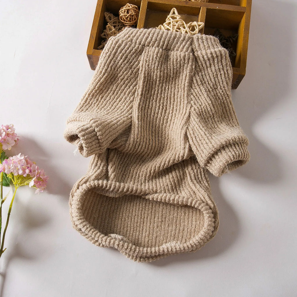 Brown cloth dog sweater pullover on a small dog, showing casual style.