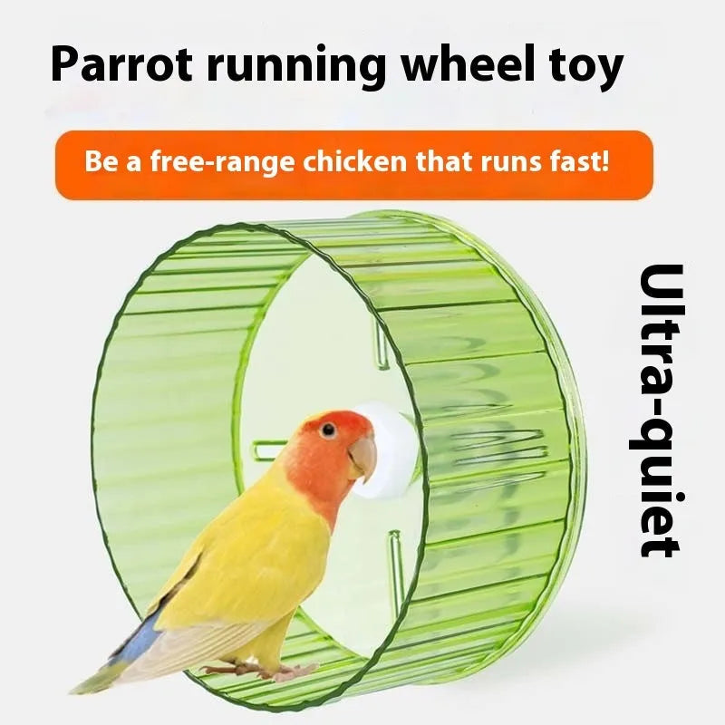 Parrot exercise wheel toy in transparent plastic with rotating mechanism for bird running activity
