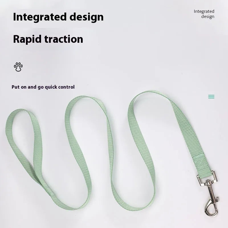 Solid colour nylon dog rope leash showing four width options and multiple colour choices for pet control