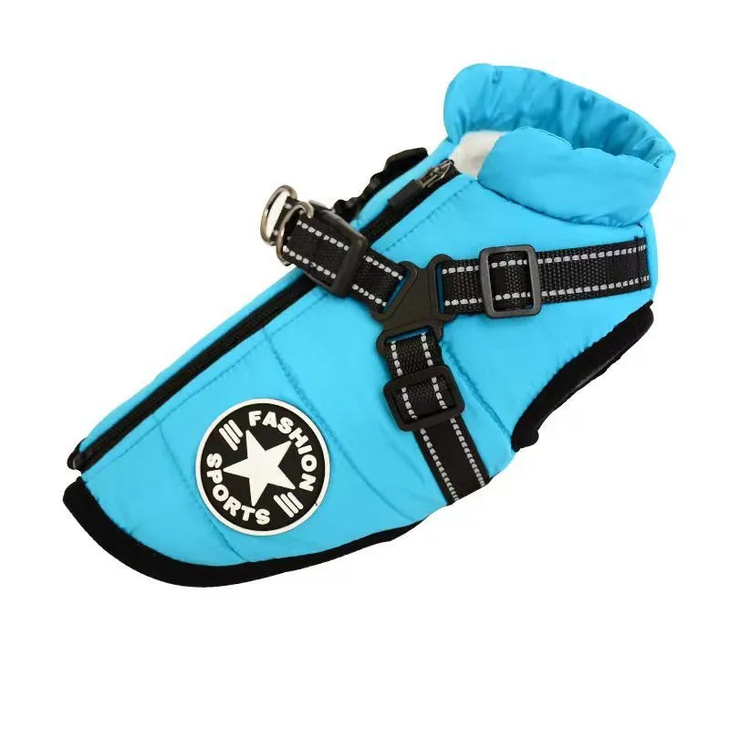 Red waterproof dog coat with integrated harness on a Labrador retriever