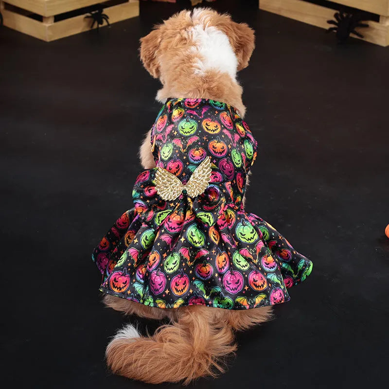Dog wearing an angel wings Halloween costume in bright pumpkin colour.