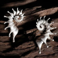 A pair of three-dimensional conch-shaped ear studs with a matte metallic finish.