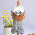 Cotton dog suit shirt for small dogs in orange and dark blue colours with size options