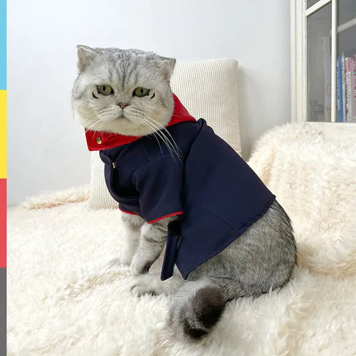 Tiger staff yuren coloured hoodie for cats and dogs as photography prop