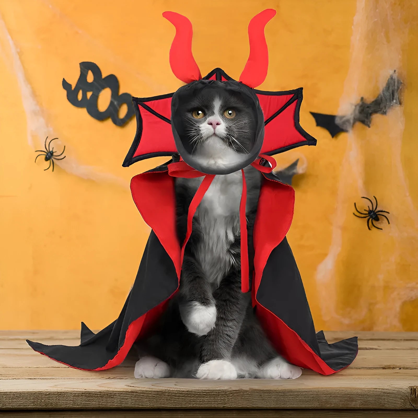 Black polyester vampire cloak and hat costume for a cat or small dog on a white background.