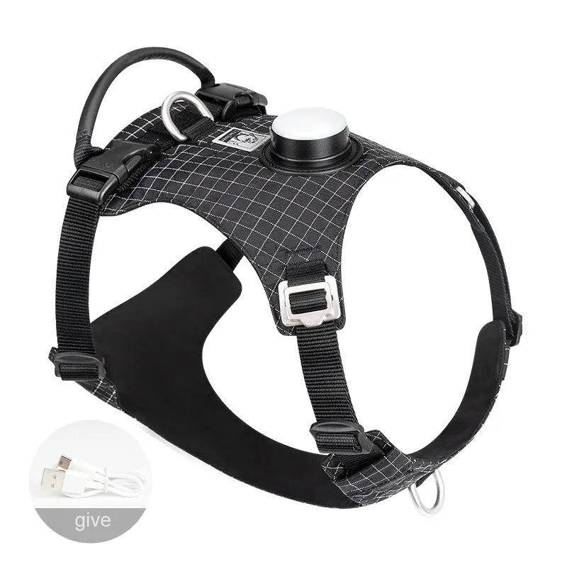 Light purple dog chest harness with integrated LED light, showing adjustable nylon straps and buckle.