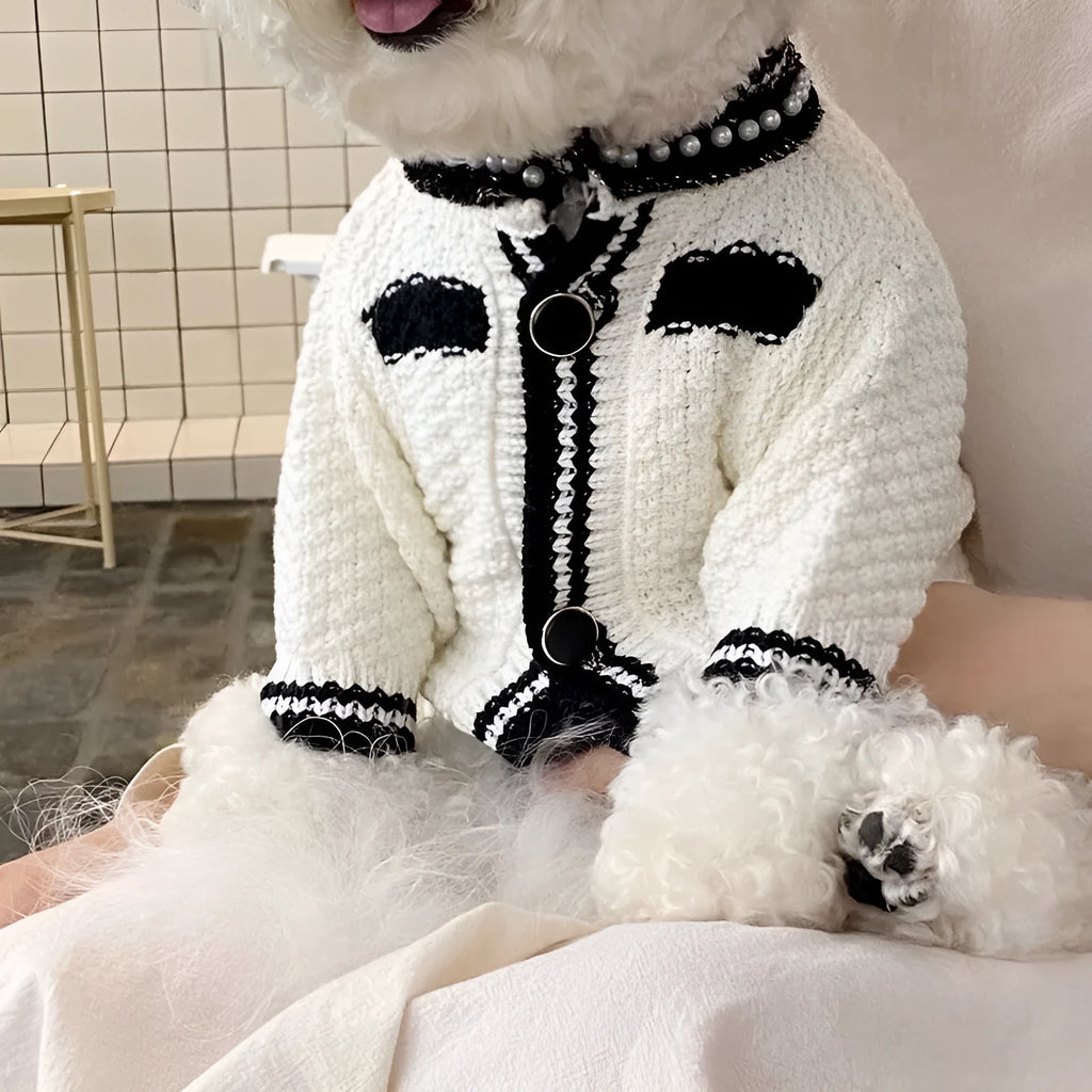 White Korean-style dog sweater with pearl collar on a small puppy, showing princess fit and detailing.