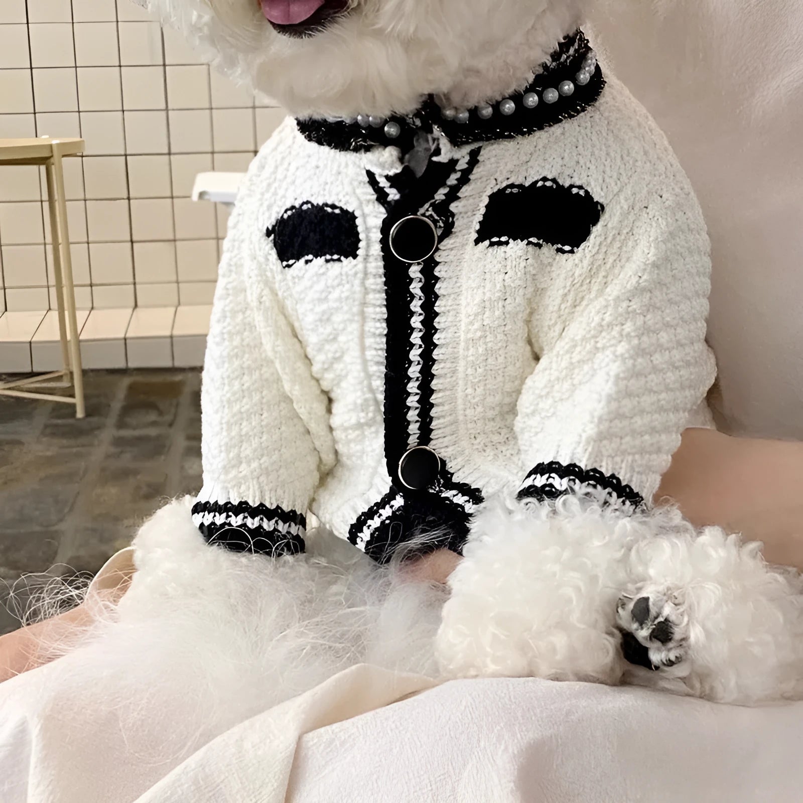 White Korean-style dog sweater with pearl collar on a small puppy, showing princess fit and detailing.