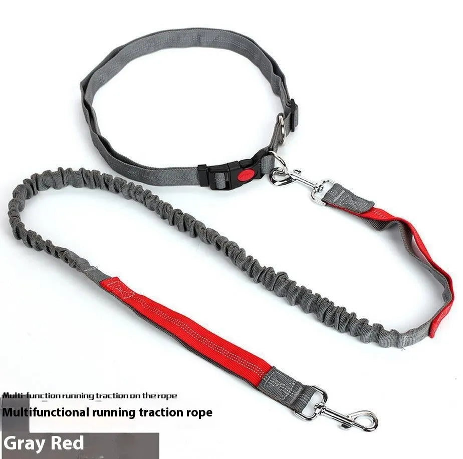 Grey and blue reflective nylon dog leash with elastic sling section for outdoor running.
