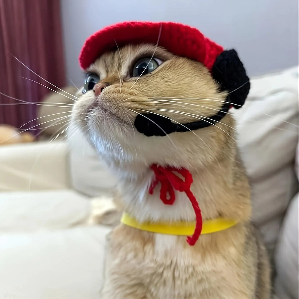 Handmade cotton chef hat and knitted sweater for small to medium pet birthday celebrations