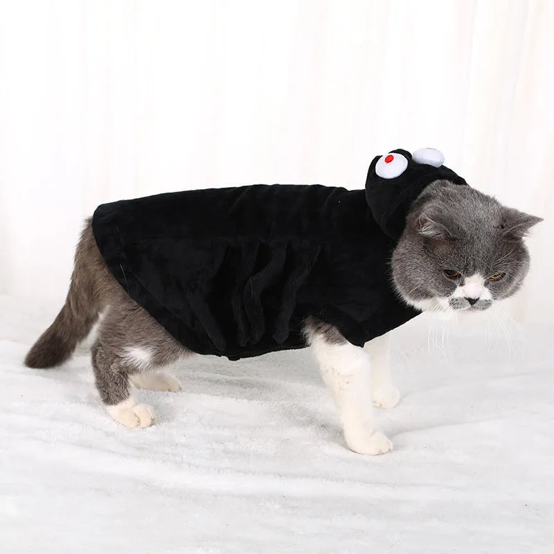 A dog wearing a black costume with a large red and white spider print on its back and sides.