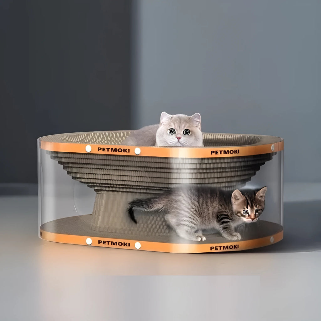 White transparent PVC cat tunnel nest with integrated corrugated board scratch panel
